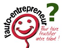 Rapport Laurent Grandguillaume pour le régime auto entrepreneur 2014