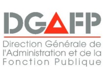 DGAFP - Rapport Fonctionnaire Auto Entrepreneur
