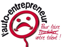 Statut Auto Entrepreneur - Elections présidentielles 2012